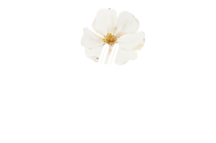 Overlay Gallery